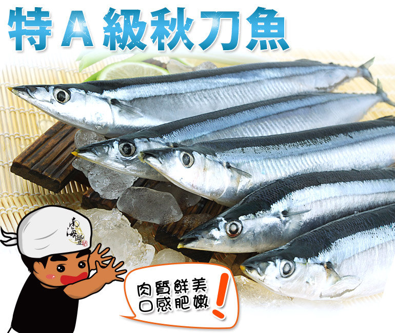 南海豐 特A級秋刀魚