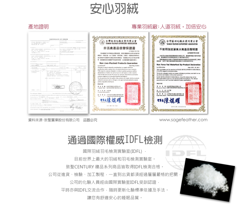 【CENTURY 臺灣 立邊50/50羽毛枕 (單入)】 SG5001/羽絨枕★滿額送