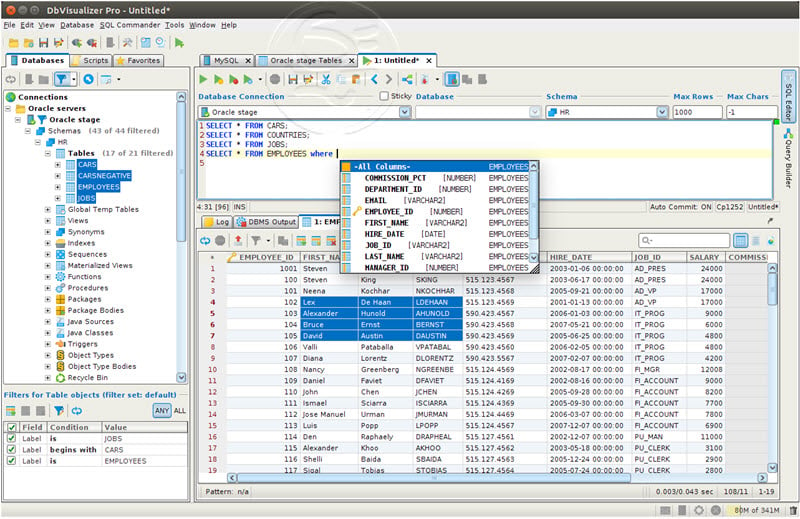 dbvisualizer pro license key string