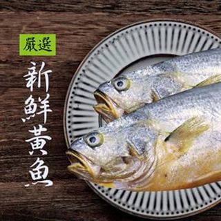 [基隆區漁會]新鮮直送 基隆區漁會 嚴選黃魚600-700g - PChome商店街