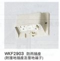 WKF2903防雨插座(1插,1地插+附接地端子)