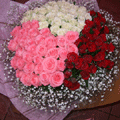 【R-016】玫瑰花束-愛妳久久/花束,玫瑰花束,向日葵花束,情人節花束、巧克力花束、百合花束、畢業花束、花束等花禮-仙客來花坊