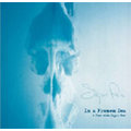 Sigur Ros樂迷必收藏 In a Frozen Sea: A Year with Sigur Ros（經典版）最貼近樂團之攝影+文字紀錄