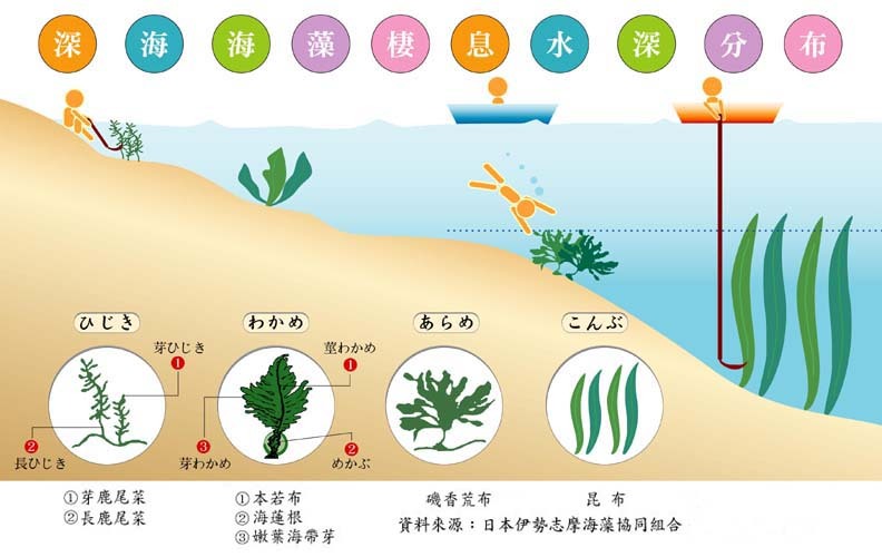 子愛屋海蓮根 包 Pchome商店街 台灣no 1 網路開店平台