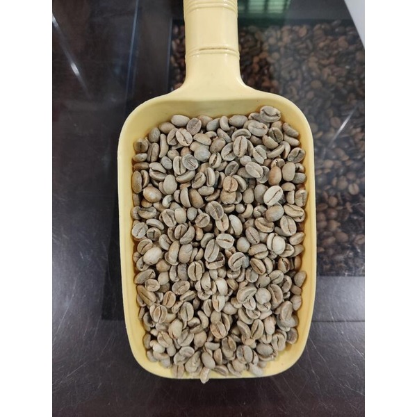 爪哇阿拉比卡咖啡豆 【生豆1kg裝】