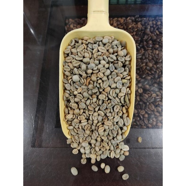 經典藍山咖啡豆 【生豆1kg裝】
