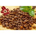 西達摩 摩卡咖啡豆 Ethiopia Sidamo coffee bean