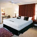 德泰彈簧床飯店系列防螨豪華硬式雙人床上墊
