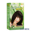 歐絲特植物性染髮劑 6號 深褐色(SNQ國家品質標章認證)＋送染髮梳