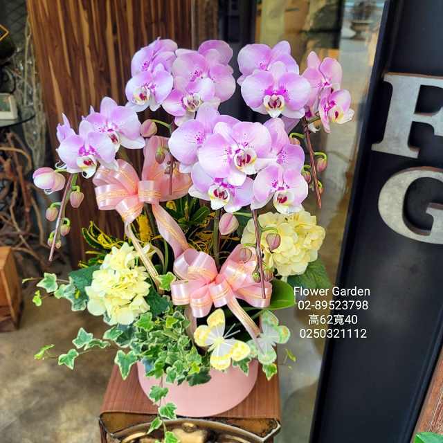 蘭花 代客送花 桌上型蝴蝶蘭盆栽 溫馨幸福好運來 適合各種展場 展覽活動 年節居家布置 榮陞 榮任 榮調 各種喜事致賀花禮 Pchome商店街 台灣no 1 網路開店平台 蘭花 代客送花 桌上型蝴蝶蘭盆栽 溫馨幸福好運來 適合各種展場 展覽活動 年節居家布置 榮陞 榮任 榮調 各種喜事致賀花禮 Pchome商店街 台灣no 1 網路開店平台