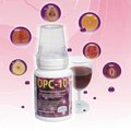 OPC-10 加拿大原裝 等滲透葡萄籽~松樹皮複方精華大瓶裝~送有益菌3小包