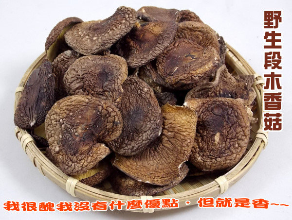 豐產香菇行 - 野生段木香菇(一斤裝)