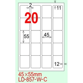 龍德 A4 電腦標籤紙 LD-857-AR-C 45*55mm(20格)20張入 紅銅版紙