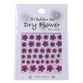 日本製 ~『 3D Rubber Art Dry Flower 』DF-7 / 指甲貼紙 /造型貼紙/手機造型貼紙