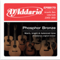 亞洲樂器 [保證公司貨] D'Addario DDXB-EPBB170 木貝斯4弦(45-100)