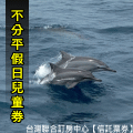 宜蘭賞鯨 鯨典烏石港賞鯨+環龜山島 兒童賞鯨 599元(賞鯨船票)