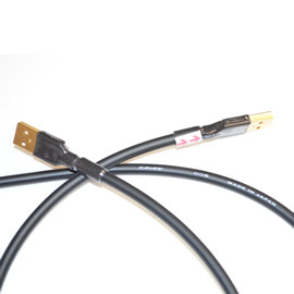 志達電子 CAB033/0.5 (Canare 24AWG) USB A公-A公 50cm Canare USB DAC 專用傳輸線 傳導線 適用谷津 U1 U2