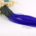 ．PINKANN．接髮束-紫色【2E04】(彩色接髮束/非主流接髮/彩色髮束/挑染髮束)