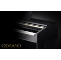 全新 CASIO AP-420 落地式數位鋼琴 AP420 附CASIO 原廠升降式琴椅 有現貨可交貨