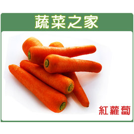 【蔬菜之家】C01.紅蘿蔔種子5.2克(約3000顆) 種子 園藝 園藝用品 園藝資材 園藝盆栽 園藝裝飾