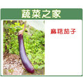 【蔬菜之家】G18.麻糬茄子種子30顆(長型紫紅色 果皮)種子 園藝 園藝用品 園藝資材 園藝盆栽 園藝裝飾