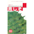 【日本進口蔬菜種子】青紫蘇，鐵質含量第一名的營養蔬菜！