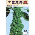 【日本進口蔬菜種子】抱子甘藍~ 子孫滿堂，非常豐產，好吃又好看。