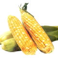【美國進口蔬菜種子】世界之最的雙色水果玉米，甜度可達18度，目前已知最甜的品種！