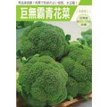 【日本進口蔬菜種子】巨無霸青花菜~ 蕾球重量可達一公斤，日本超高人氣的極優良品種。