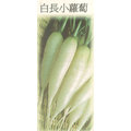 【日本進口蔬菜種子】白長二十日大根，速成的可愛小蘿蔔品種，特別推薦！！