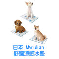 ☆米可多寵物精品☆日本Marukan塌塌米寵物鋁墊涼墊冰墊L號DP-447可彎曲非平面可使用
