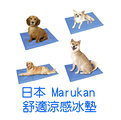 ☆米可多寵物精品☆日本Marukan寵物舒適散熱墊涼墊冰墊DP-609