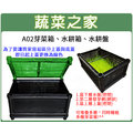 【蔬菜之家 005 a 30 】 a 02 芽菜箱、水耕箱、家庭式多用途芽菜培育箱