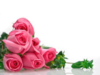 _AA_B4_BA_C01.jpg?pimg=static&P=1311733003