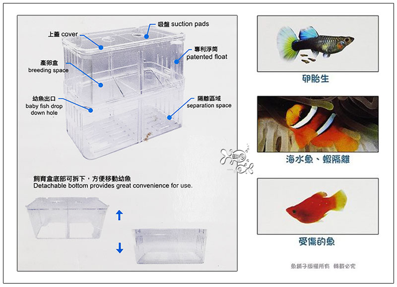魚舖子 Ista 自浮式雙層飼育繁殖盒 L款 便宜賣 Pchome商店街 台灣no 1 網路開店平台