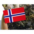 【衝浪小胖】挪威國旗貼紙／機車／汽車／抗UV／防水／Norway／各國家均有販售