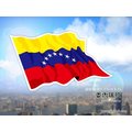 【衝浪小胖】委內瑞拉國旗飄揚貼紙／機車／汽車／抗UV／防水／3C產品／Venezuela／各國均有販售