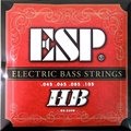 亞洲樂器 ESP BS-20HB BASS 手工貝斯弦 (45-105)