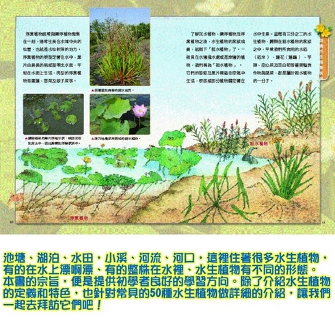 親親發現自然系列水生植物 Pchome 商店街 親親發現自然系列水生植物 Pchome 商店街