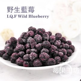 [莓果工坊]鮮凍野生藍莓(加拿大)