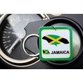 【衝浪小胖】牙買加國旗鑰匙圈/Jamaica/汽車/機車/多國款式可選購/TVBS-N獨家