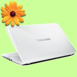 Toshiba Satellite L850 00n002 白15 6吋筆記型電腦i3 3110m No Os 4g 640g 5cgo 全新公司貨 含稅 免運 Pchome商店街 台灣no 1 網路開店平台