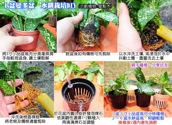 水位計立方套盆 仿瓷白色 花工場園藝資材 Pchome商店街 台灣no 1 網路開店平台 水位計立方套盆 仿瓷白色 花工場園藝資材 Pchome商店街 台灣no 1 網路開店平台