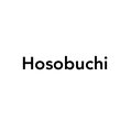 Hosobuchi L8701 5V 3A 15W B22WL 特殊光學燈泡 /10入