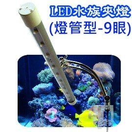 Vitalux燈籠魚系列 海水魚專用版 水草專用版 水晶蝦專用版 Led水族燈 Vitalux Aquarium Led Pchome 商店街