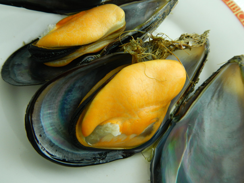 呈鮮坊 馬祖淡菜 Mussels 俗稱孔雀蛤或綠殼貽貝1斤 生猛海鮮適合多種料理及火鍋 低溫冷藏保存口味鮮美 Pchome商店街 台灣no 1 網路開店平台 呈鮮坊 馬祖淡菜 Mussels 俗稱孔雀蛤或綠殼貽貝1斤 生猛海鮮適合多種料理及火鍋 低溫冷藏保存口味鮮美 Pchome商店街 台灣no 1 網路開店平台