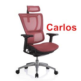 Carlos --Matrex美製網 , 加贈: 頭枕(DIY) 需自行組裝 HAWJOU 豪優 人體工學椅專賣店