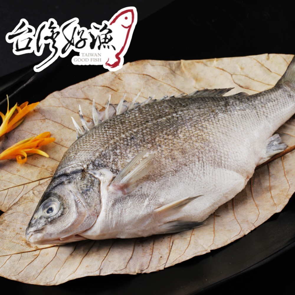 貴妃魚(400g/尾)