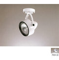 《 森綠色 》 吸頂 E27 PAR30 投射 燈具 [ B452W/L ] ( 鹵素杯燈 / 免安 / 就是拍賣價!! )