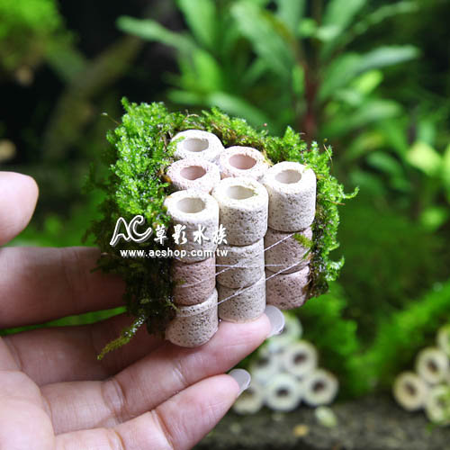 Ac草影 陶瓷環默絲蝦屋 6孔 一座 Pchome商店街 台灣no 1 網路開店平台 Ac草影 陶瓷環默絲蝦屋 6孔 一座 Pchome商店街 台灣no 1 網路開店平台